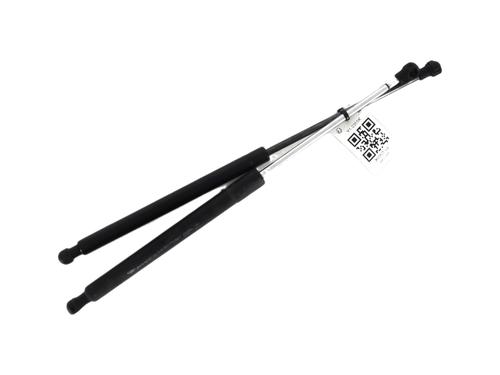 Used Tailgate lift support RENAULT CLIO III (BR0/1, CR0/1) 1.5 dCi (75 hp) 27909573