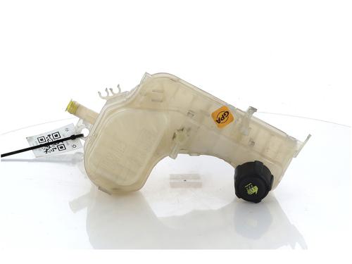 Used Expansion tank RENAULT LAGUNA III (BT0/1) 1.5 dCi (BT00, BT0A, BT0T, BT1J) (110 hp) 17654279