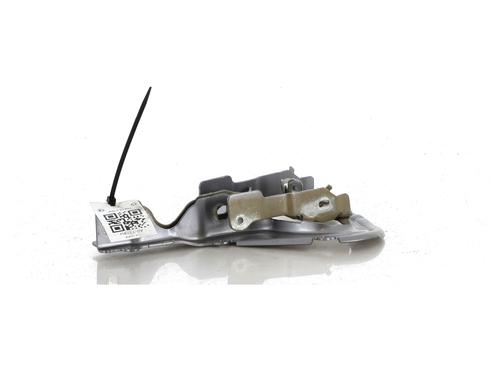 Hinge/Door check strap CITROËN C3 / C3 ORIGIN III (SX) 1.2 PureTech 82 | BP27902181C146 