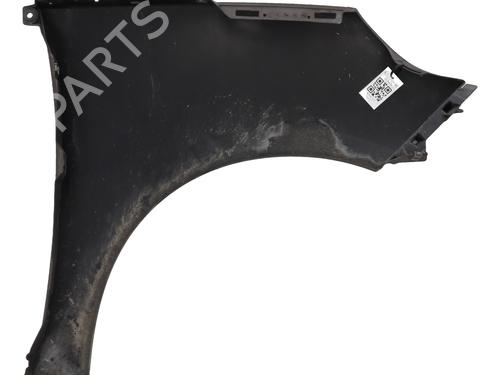 Left front fenders RENAULT SCÉNIC III (JZ0/1_) 1.9 dCi (JZ0J, JZ1J, JZ1K, JZ1S) | BP23438178C41 
