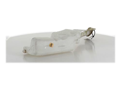 Used Windscreen washer tank RENAULT CLIO III (BR0/1, CR0/1) 1.2 16V (BR02, BR0J, BR11, CR02, CR0J, CR11) (75 hp) 31032328