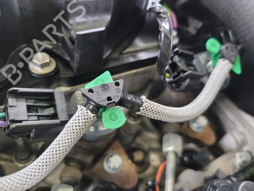 Engine FORD FIESTA VI (CB1, CCN) 1.5 TDCi | BP29265589M1