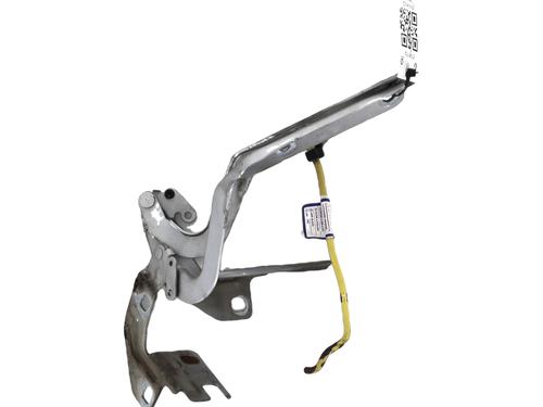 Used Hinge/Door check strap CITROËN C4 Picasso I MPV (UD_) 1.6 HDi 110 (112 hp) 29048153