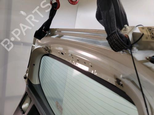 Tailgate RENAULT MEGANE III Hatchback (BZ0/1_, B3_) 1.5 dCi (BZ09, BZ0D, BZ1W, BZ29, BZ14) | BP29416917C6 