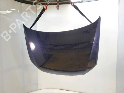 Used Hood VW POLO V (6R1, 6C1) 1.2 TSI 16V (90 hp) 29762270