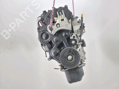 Motore FORD FUSION (JU_) 1.4 TDCi (68 hp) 29623723