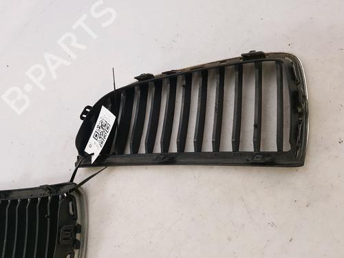 Grille BMW 3 Touring (E91) 320 d | BP13915757C40 