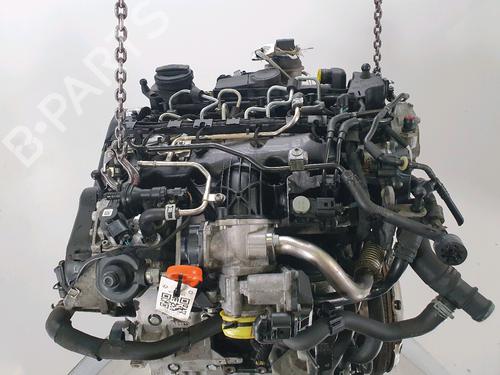 Engine VW TIGUAN (5N_) 2.0 TDI | BP36945735M1  - Image 5