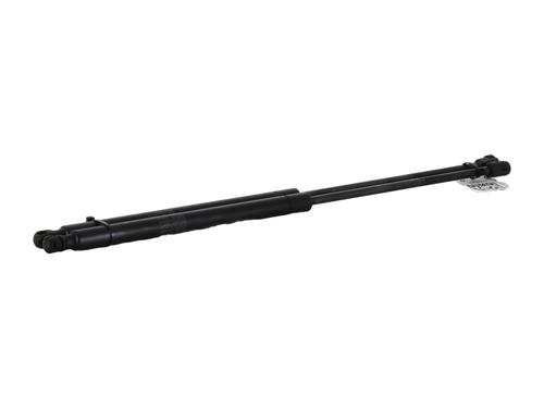 Tailgate lift support CHRYSLER PT CRUISER (PT_) 2.2 CRD | BP27914946C138 
