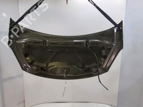 Hood CITROËN C3 II (SC_) 1.4 HDi 70 (SC8HZC, SC8HR0, SC8HP4) | BP29602643C1 