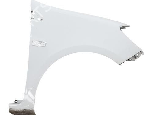 Used Right front fenders RENAULT CLIO III (BR0/1, CR0/1) 1.5 dCi (75 hp) 29931407