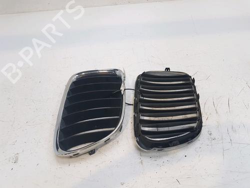 Grill/Gitter BMW X1 (E84) xDrive 20 d (177 hp) 13947352