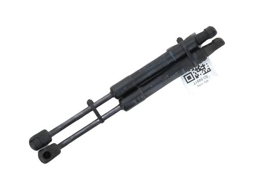 Used Hood lift support RENAULT SCÉNIC III (JZ0/1_) 1.6 dCi (JZ00, JZ12) (130 hp) 29048007