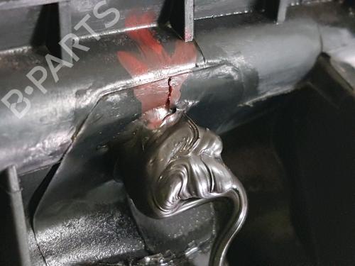 Engine PEUGEOT 206+ (2L_, 2M_) 1.4 i (2LKFWA, 2MKFWA) | BP29932043M1