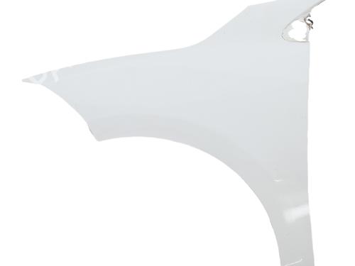 left-front-fenders-renault-megane-iii-hatchback-bz01_-b3_-2008-39764402 main image