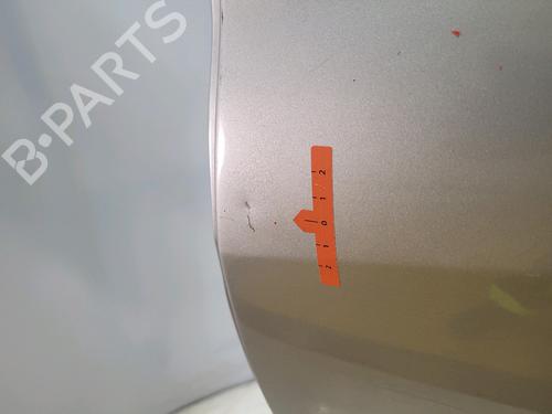 Left rear door RENAULT CLIO III (BR0/1, CR0/1) 1.5 dCi (C/BR0G, C/BR1G) | BP29295503C4 