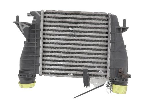 Ladeluftkühler für RENAULT CLIO III (BR0/1, CR0/1) 1.5 dCi (75 hp) 30982497