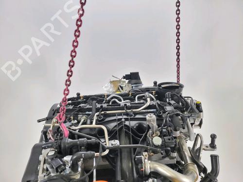 Engine VW GOLF PLUS V (5M1, 521)  | BP28207596M1 