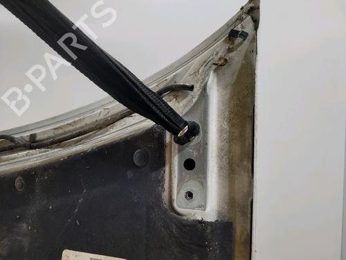 Hood FIAT SCUDO Van (220_) 1.9 D | BP30190794C1