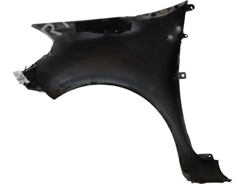 Right front fenders RENAULT CLIO III (BR0/1, CR0/1) 1.5 dCi | BP29874990C42