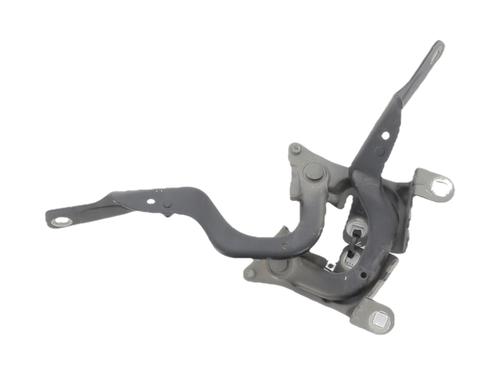 hingedoor-check-strap-renault-captur-i-j5_-h5_-2013-37281334 main image
