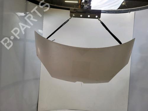 hood-renault-kangoo-express-fw01_-2008-37290995 main image