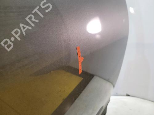Right rear door RENAULT SCÉNIC III (JZ0/1_) 1.5 dCi | BP30190646C5 