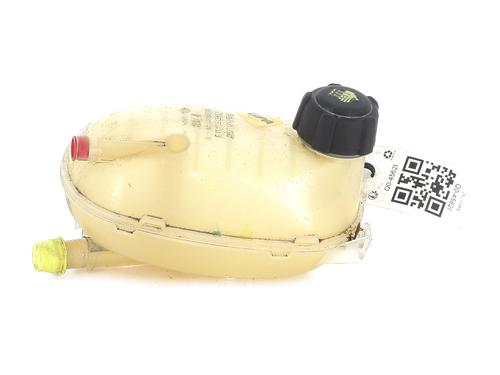 Ekspansjonstank DACIA JOGGER (RK_) 1.0 TCe 110 (RKMD) (110 hp) 25300697
