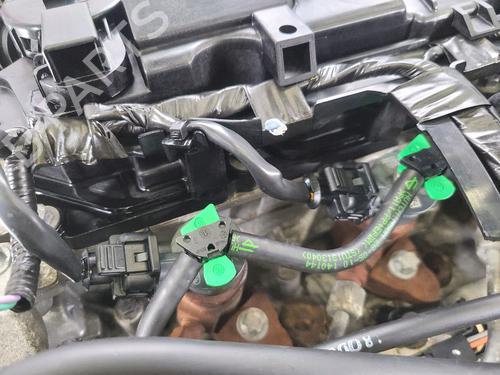 Engine FORD FIESTA VI (CB1, CCN) 1.6 TDCi | BP30190701M1 