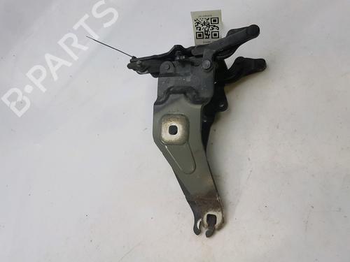 Used Hinge/Door check strap BMW X6 (E71, E72) xDrive 50 i (408 hp) 27919332