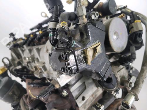 Engine FIAT PANDA (169_) 1.3 D Multijet (169.AXC1A) | BP25983416M1