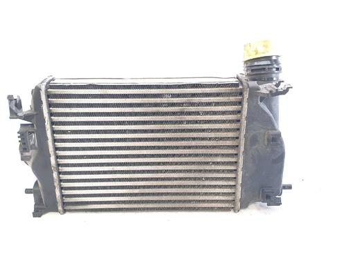 Intercooler RENAULT MEGANE IV Hatchback (B9A/M/N_) 1.2 TCe 100 (B9MS) | BP29346630M30 