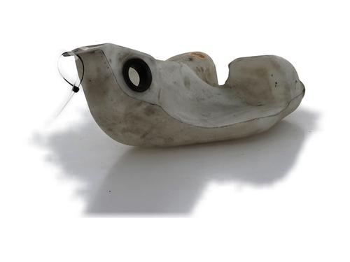 Windscreen washer tank RENAULT SCÉNIC III (JZ0/1_) 1.5 dCi | BP29874801C113 