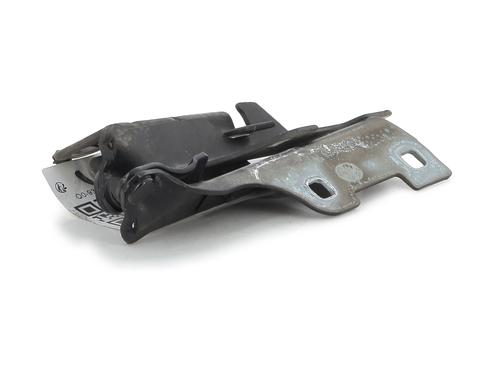 Hinge/Door check strap RENAULT CLIO II (BB_, CB_) 1.5 dCi (B/C2J) | BP27910971C146 