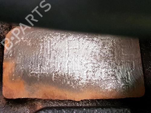 Engine RENAULT SCÉNIC II (JM0/1_) 1.5 dCi (JM1E, JM16) | BP31079513M1 