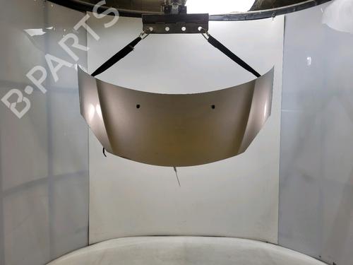 Used Hood CITROËN C3 II (SC_) 1.4 VTi 95 (95 hp) 30380002