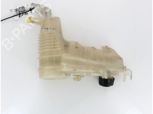 Expansion tank RENAULT LAGUNA III (BT0/1) 1.5 dCi (BT00, BT0A, BT0T, BT1J) | BP17654279C120 