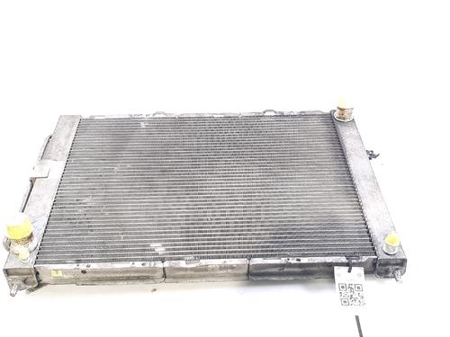 Used Water radiator RENAULT CLIO III (BR0/1, CR0/1) 1.5 dCi (75 hp) 30841857