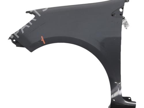 Guarda-lamas esquerdo Guarda-lamas esquerdo RENAULT CLIO III (BR0/1, CR0/1) 1.5 dCi (C/BR0G, C/BR1G) (68 hp) 36007236 36007236