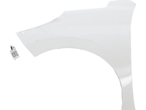 Used Left front fenders PEUGEOT 207 (WA_, WC_) 1.6 HDi (92 hp) 30449595