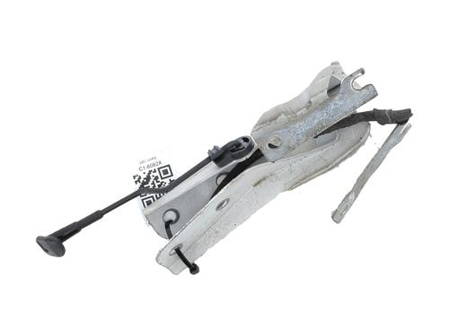 hingedoor-check-strap-vw-up-121-122-bl1-bl2-bl3-123-2011-32278961 main image