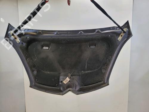 Hood CITROËN C4 Picasso I MPV (UD_) 1.6 HDi | BP29197919C1 