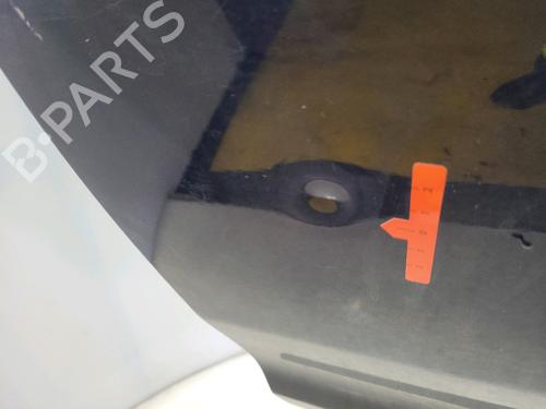 Left rear door DACIA SANDERO II 1.2 | BP31913402C4