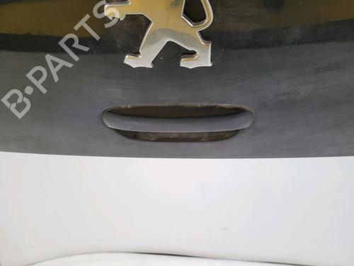 Portellone/Cofano posteriore PEUGEOT 307 (3A/C) 1.6 16V | BP30842955C6