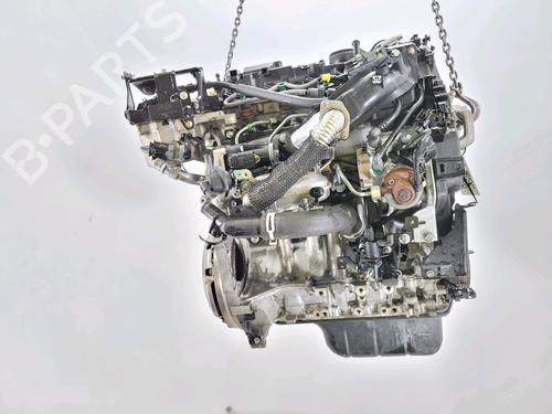 Engine FORD FIESTA VI (CB1, CCN) 1.6 TDCi | BP18647405M1 