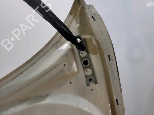 Hood SKODA FABIA II (542) 1.2 12V | BP29390213C1 