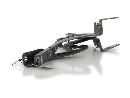 Hinge/Door check strap RENAULT CLIO IV (BH_) 1.5 dCi 90 | BP27911843C146 