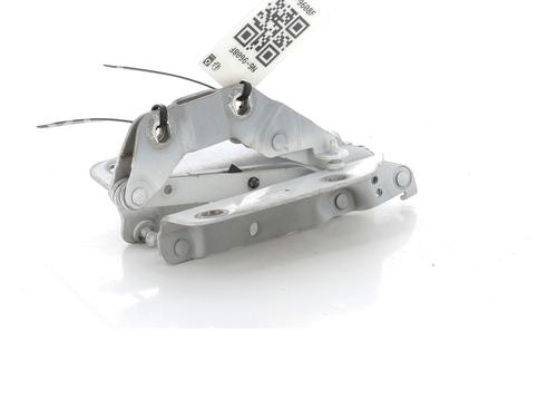 Hinge/Door check strap LAND ROVER RANGE ROVER EVOQUE (L538) 2.2 D | BP27901421C146 
