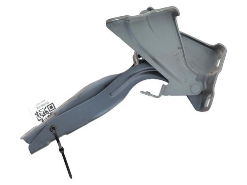 hingedoor-check-strap-renault-kadjar-ha_-hl_-2015-31985701 main image