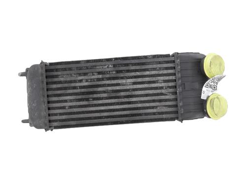 Used Intercooler Intercooler PEUGEOT 207 SW (WK_) 1.6 HDi (109 hp) 34610225 34610225